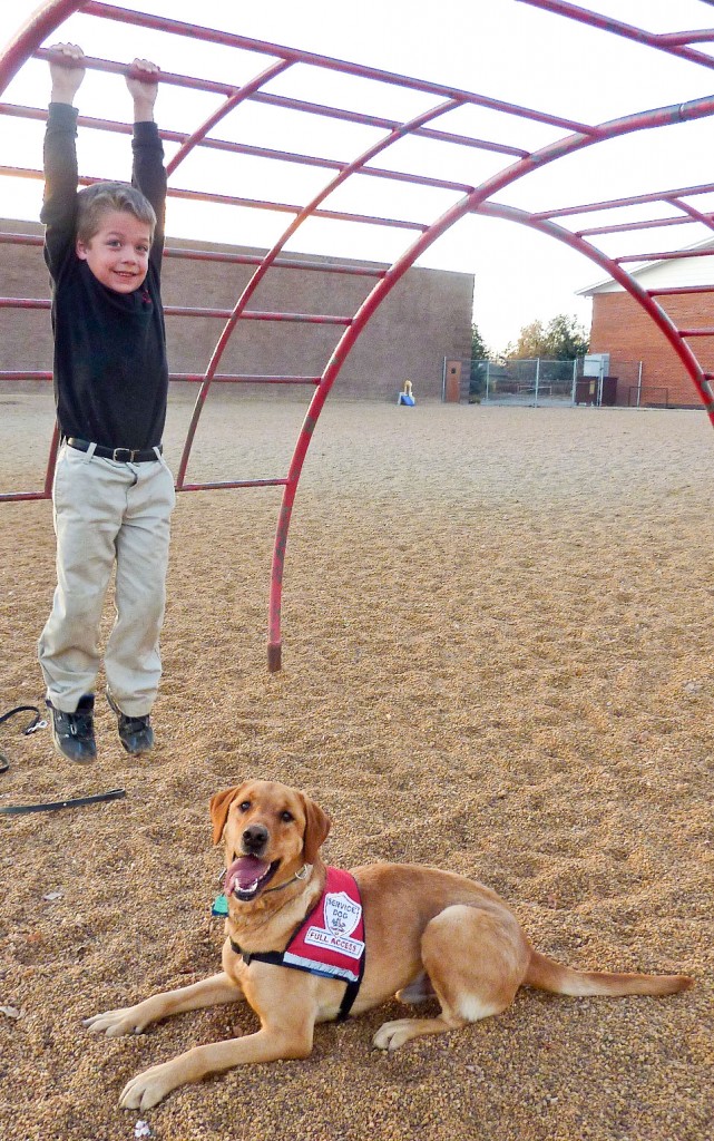 Detection Dogs on the playground